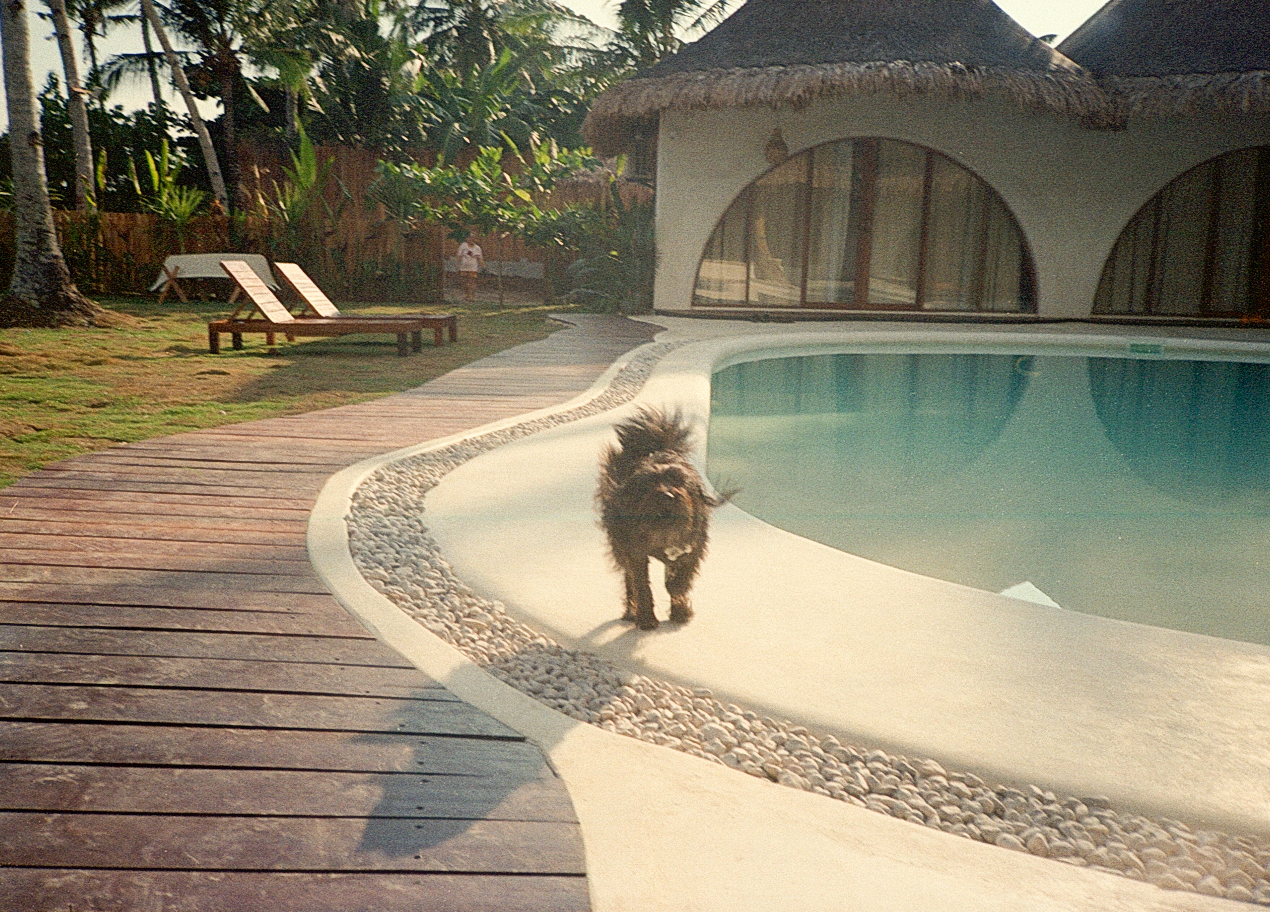 Poolside